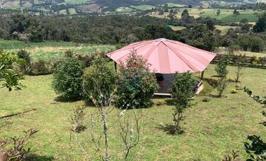 Casa de Lujo y Naturaleza en La Calera