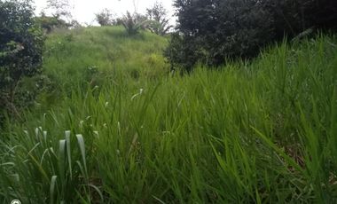 FINCA GANADERA VIA BARRANCABEMEJA EN EL MUNICIPIO DE BETULIA 230 HECTAREAS