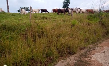 FINCA GANADERA VIA BARRANCABEMEJA EN EL MUNICIPIO DE BETULIA 230 HECTAREAS