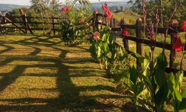 FINCA GANADERA VIA BARRANCABEMEJA EN EL MUNICIPIO DE BETULIA 230 HECTAREAS