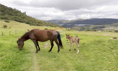 CASA DE CAMPO MODERNA EN VENTA – LA CALERA, VEREDA BUENOS AIRES (LOTE LA PAZ)