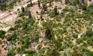 Se vende parcela en Valle verde mar, Limache.