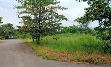 Tanah dan Gudang Dijual Harga Sangat Murah Jatake Industri III Tangerang