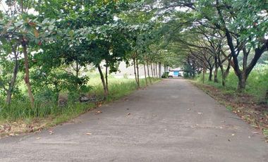 Tanah dan Gudang Dijual Harga Sangat Murah Jatake Industri III Tangerang