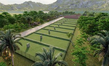 Venta de terreno Sauce Tarapoto