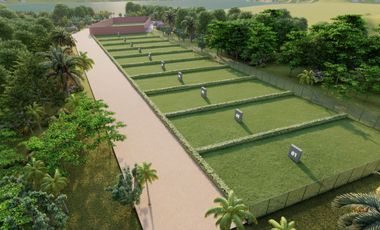 Venta de terreno Sauce Tarapoto