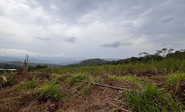 Venta de terreno Sauce Tarapoto