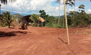 Venta de terreno Sauce Tarapoto