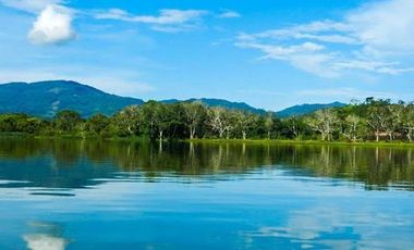 Venta de terreno Sauce Tarapoto