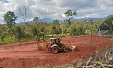 Venta de terreno Sauce Tarapoto