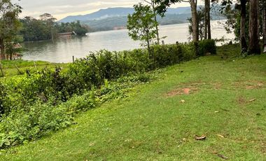 Venta de terreno Sauce Tarapoto