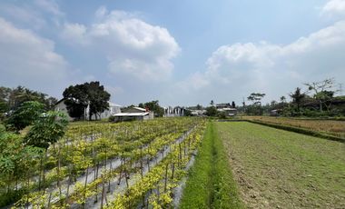 Tanah Jogja Murah Utara Resto Jejamurah Dan Pemda Sleman