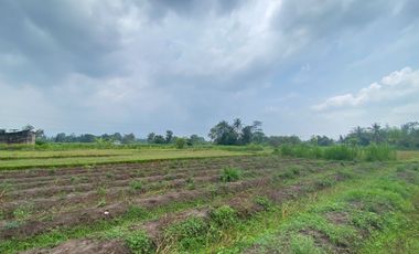 Tanah 300 Jtaan Pandowoharjo Sleman, Bisa Cash Tempo Tanpa Bunga