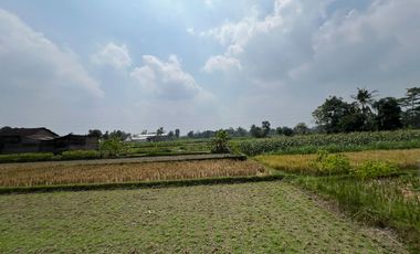 Tanah Jogja Utara Jalan Magelang KM 8 - Prospek Untuk Hunian dan Investasi