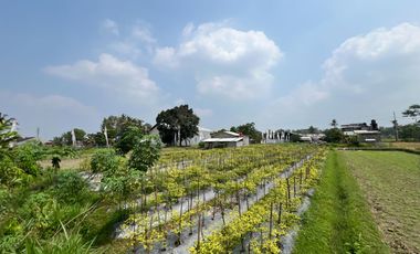 Tanah Jogja Utara Jalan Magelang KM 8 - Prospek Untuk Hunian dan Investasi