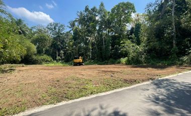 Pekarangan Triharjo, Dekat Gor Tridadi Sleman