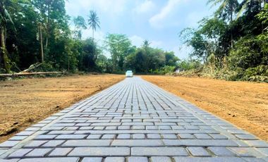 Pekarangan Triharjo, Dekat Gor Tridadi Sleman