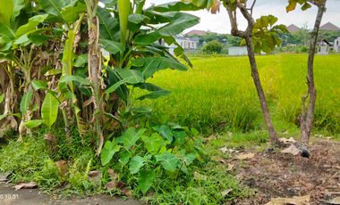 Di Jual Cepat Murah Tanah di Barat Kampus UMY