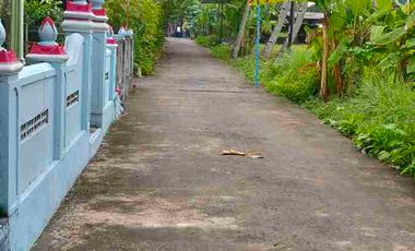 Di Jual Cepat Murah Tanah di Barat Kampus UMY