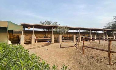 Casa de Campo en Venta