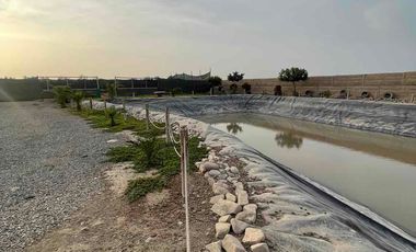 Casa de Campo en Venta