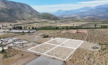 LOS ANDES - VENTA 4 TERRENOS DE 5.000m2 - PUERTO TERRESTRE