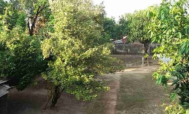 dijual rumah luas 1150 MTR jln Patangpuluhan Bantul Yogyakarta