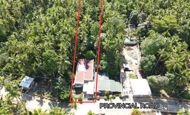 Furnished Villa for Sale in Camotes Island, Cebu — Peaceful Retreat Near the Beach & Town