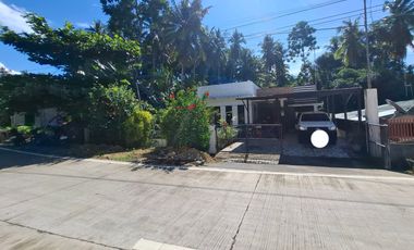 Furnished Villa for Sale in Camotes Island, Cebu — Peaceful Retreat Near the Beach & Town