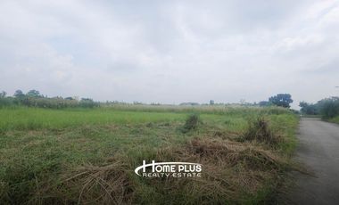 ที่ดินซอยหมู่บ้านบางนาการ์เด้น7 อำเภอบางพลี สมุทรปราการ เนื้อที่ 2 ไร่ (แปลงมุม)