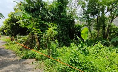 DIJUAL TANAH PEKARANGAN STRATEGIS