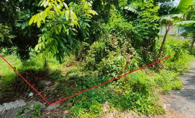 DIJUAL TANAH PEKARANGAN STRATEGIS