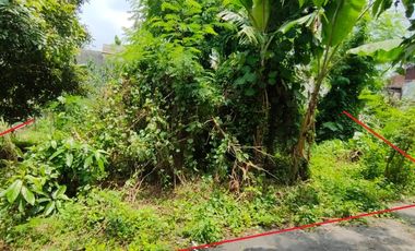 DIJUAL TANAH PEKARANGAN STRATEGIS