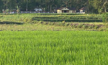 Rumah Cantik Siap Huni dengan View Sawah Asri di Klaten