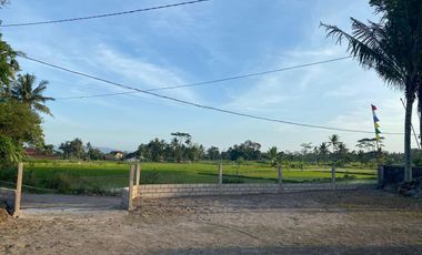 Rumah Cantik Siap Huni dengan View Sawah Asri di Klaten