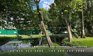 FOR RENT - 3 Bedroom Fully Furnished Bungalow House with Big Backyard for Rent in an Exclusive Subdivision inside Clark Freeport Zone Pampanga