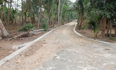 Lahan Strategis Siap Bangun — Cocok untuk Rumah, Kost, atau Investasi di Kulon Progo!