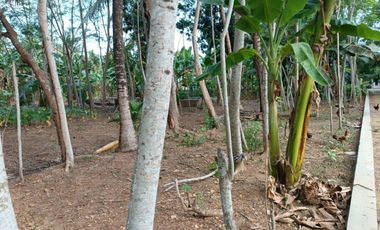 Lahan Strategis Siap Bangun — Cocok untuk Rumah, Kost, atau Investasi di Kulon Progo!