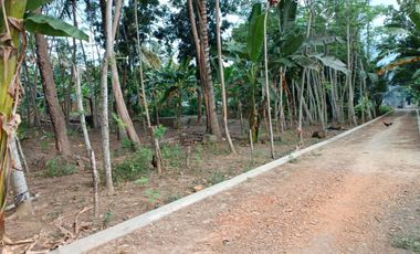 Lahan Strategis Siap Bangun — Cocok untuk Rumah, Kost, atau Investasi di Kulon Progo!