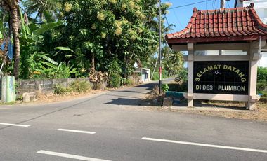 Lahan Strategis Siap Bangun — Cocok untuk Rumah, Kost, atau Investasi di Kulon Progo!