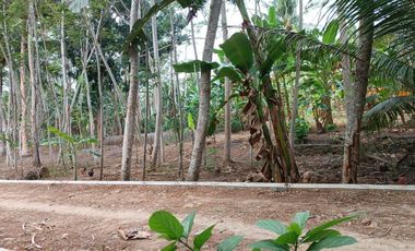 Lahan Strategis Siap Bangun — Cocok untuk Rumah, Kost, atau Investasi di Kulon Progo!