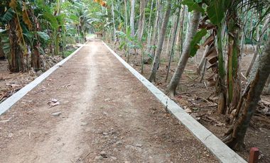 Lahan Strategis Siap Bangun — Cocok untuk Rumah, Kost, atau Investasi di Kulon Progo!