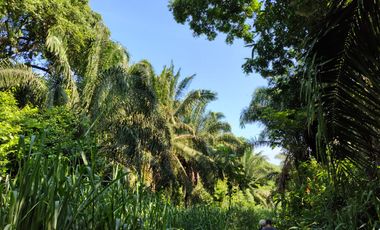 TERRENO DE 2000 MTS2 EN CONDOMINIO CAMPESTRE VIA MINCA SANTA MARTA.