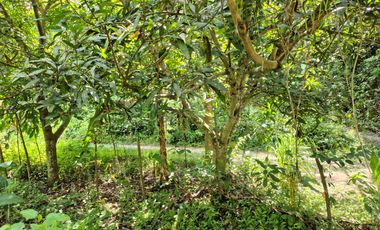 TERRENO DE 2000 MTS2 EN CONDOMINIO CAMPESTRE VIA MINCA SANTA MARTA.