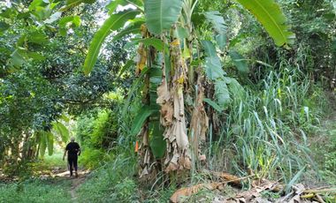 TERRENO DE 2000 MTS2 EN CONDOMINIO CAMPESTRE VIA MINCA SANTA MARTA.