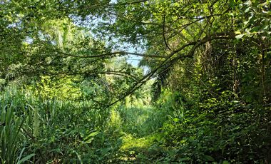 TERRENO DE 2000 MTS2 EN CONDOMINIO CAMPESTRE VIA MINCA SANTA MARTA.