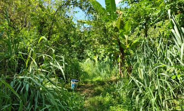 TERRENO DE 2000 MTS2 EN CONDOMINIO CAMPESTRE VIA MINCA SANTA MARTA.