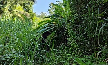 TERRENO DE 2000 MTS2 EN CONDOMINIO CAMPESTRE VIA MINCA SANTA MARTA.