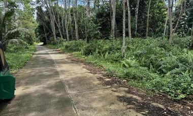 🌿 𝐋𝐎𝐓 𝐅𝐎𝐑 𝐒𝐀𝐋𝐄 – 𝐂𝐀𝐒𝐇 𝐎𝐑 𝐈𝐍𝐒𝐓𝐀𝐋𝐋𝐌𝐄𝐍𝐓 𝐁𝐀𝐒𝐈𝐒 🌿