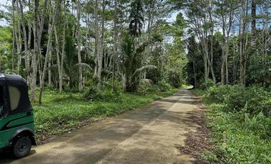 🌿 𝐋𝐎𝐓 𝐅𝐎𝐑 𝐒𝐀𝐋𝐄 – 𝐂𝐀𝐒𝐇 𝐎𝐑 𝐈𝐍𝐒𝐓𝐀𝐋𝐋𝐌𝐄𝐍𝐓 𝐁𝐀𝐒𝐈𝐒 🌿